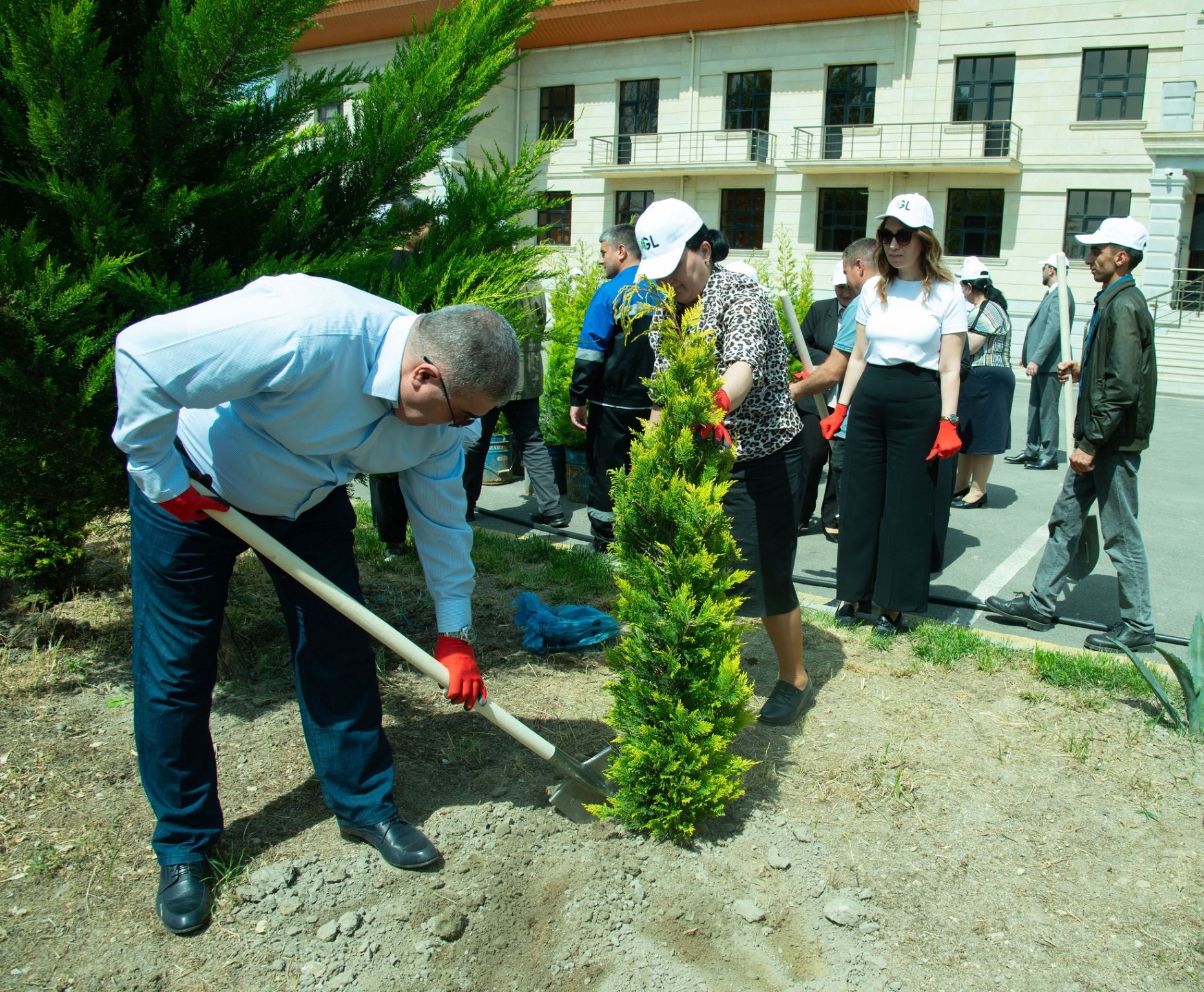 GL ekoloji təmiz təcrübələrin tətbiqi üzrə ağacəkmə aksiyası keçirdi